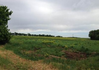 Jardin de Cocagne d’Aunis Sud
