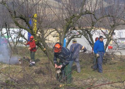 Tremplin Insertion Chantier